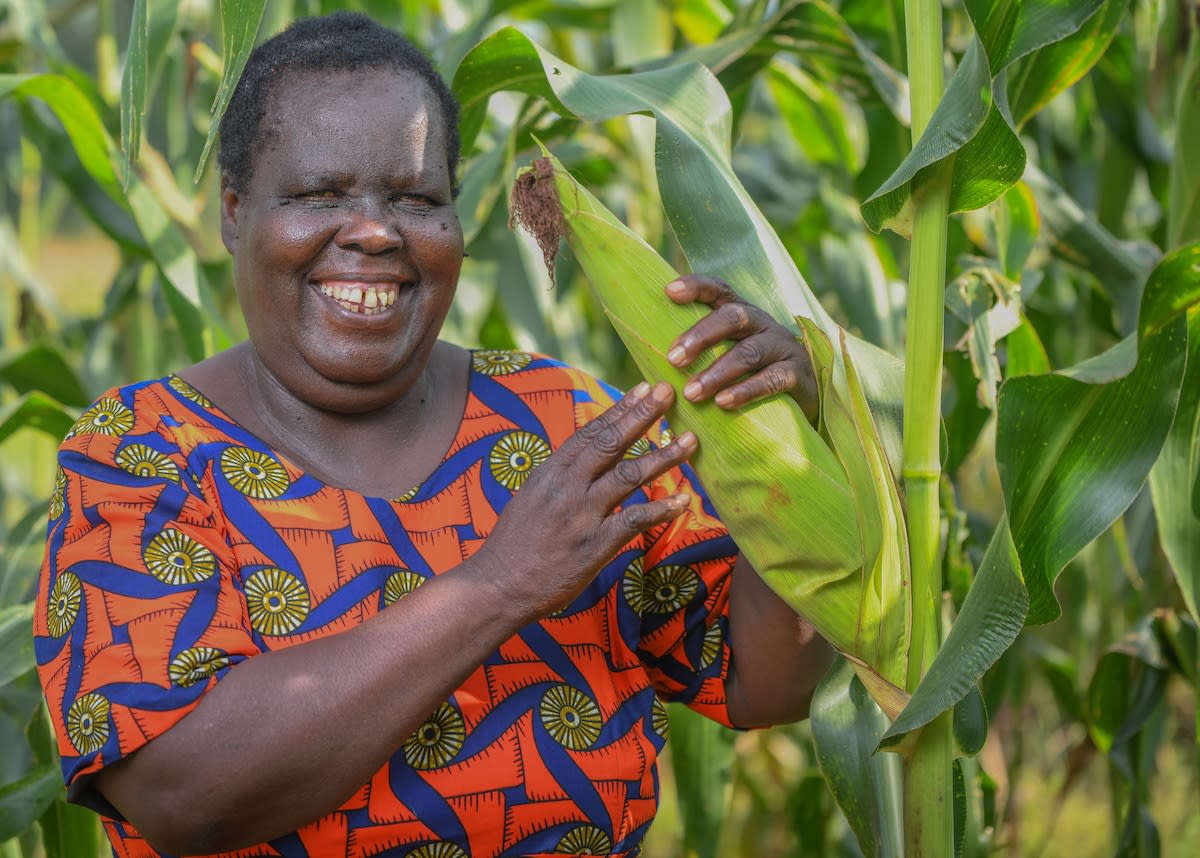 AgriMarks Story